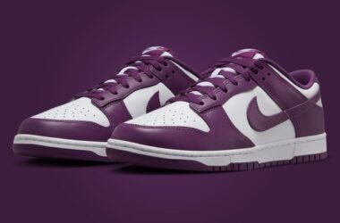 Nike Dunk Low Viotech