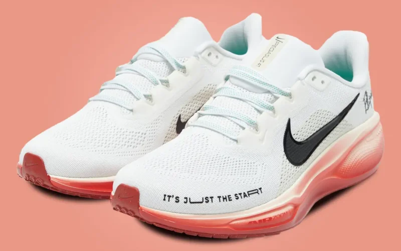 Nike Pegasus 41 Eliud Kipchoge