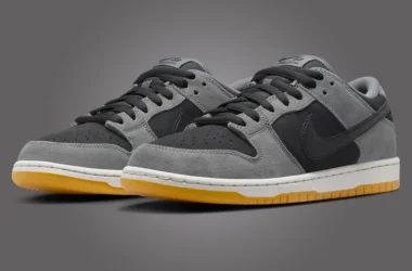 Nike SB Dunk Low Dark Smoke Grey Black Gum